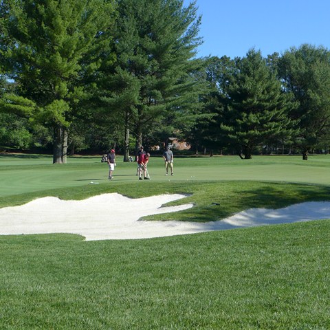2016 Spring Golf